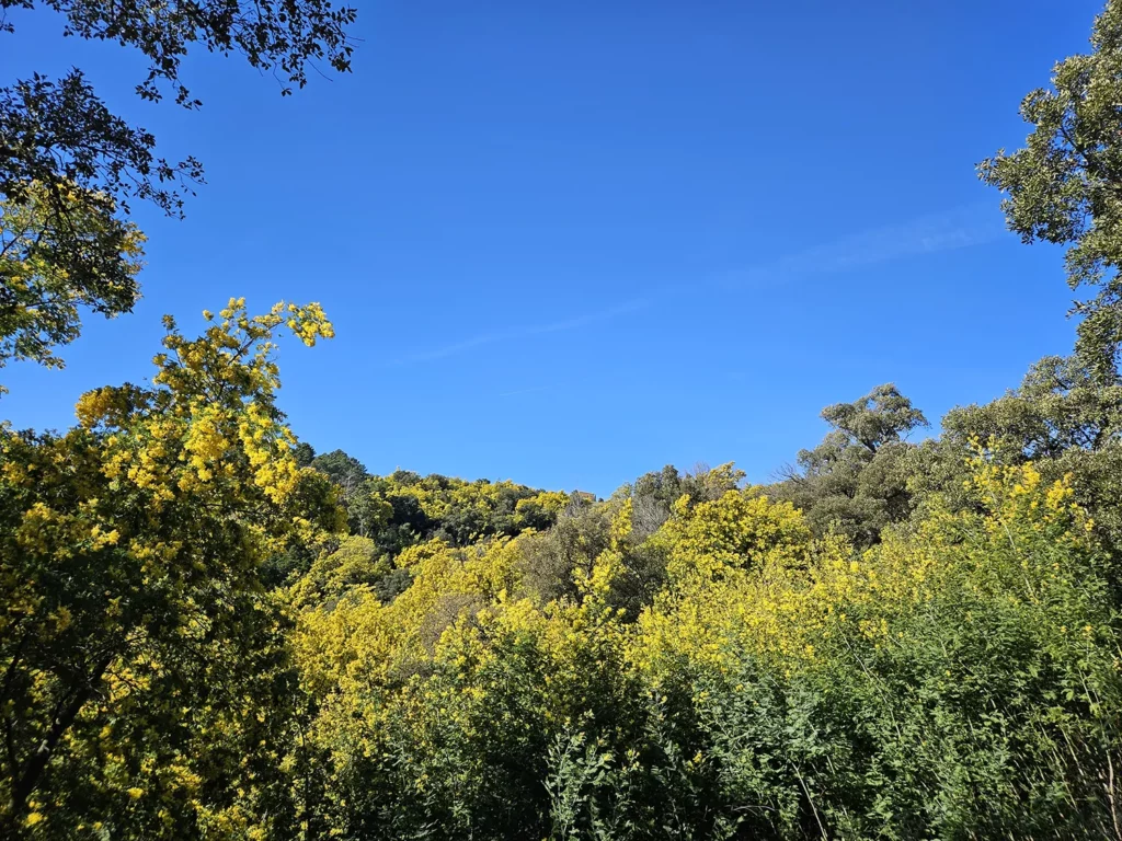 Route des mimosas - Travel Planner